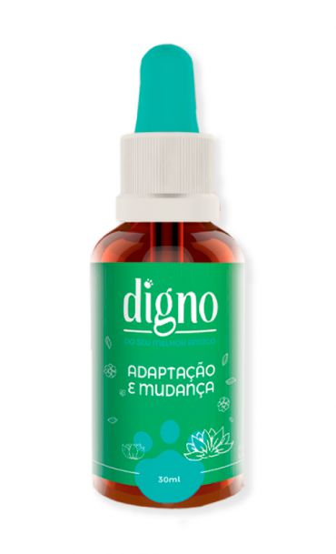 Floral Digno Adaptao e Mudana 30ml